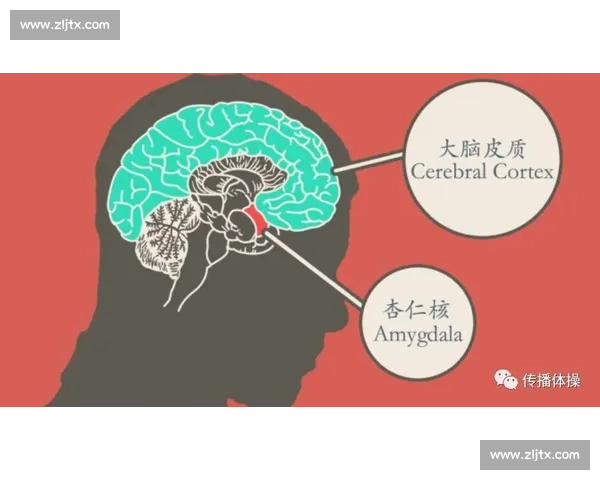 提升大脑敏捷与手眼协调的反应速度训练全攻略